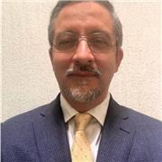 Profesor de licenciatura y posgrado